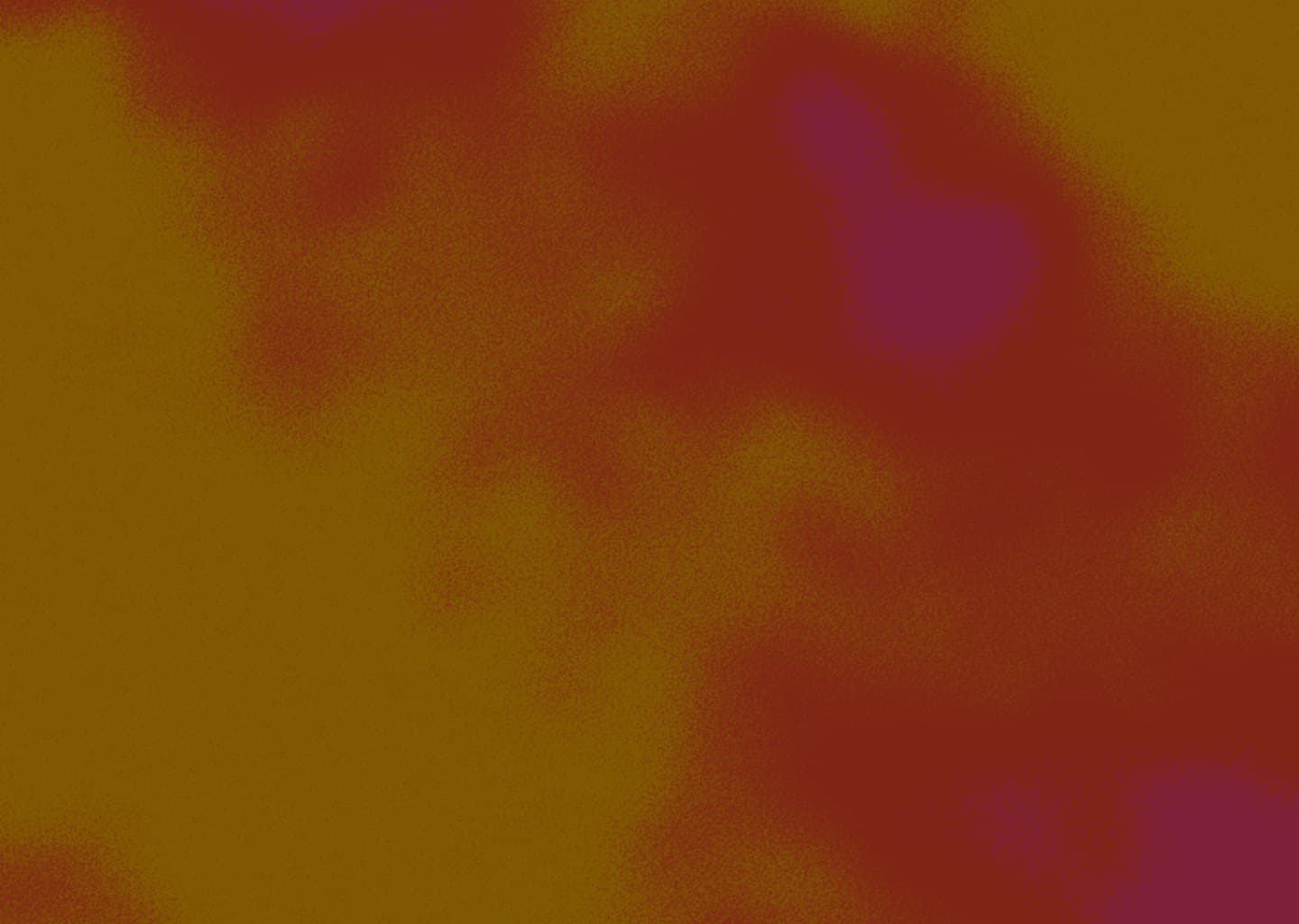 Suno AI 스크린샷 2
